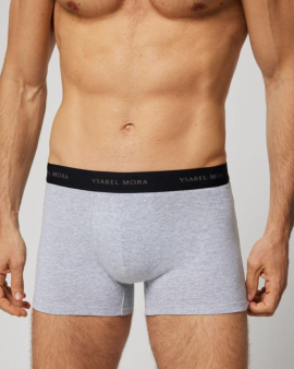 Boxer