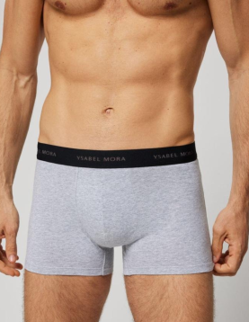 Boxer