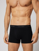 Boxer